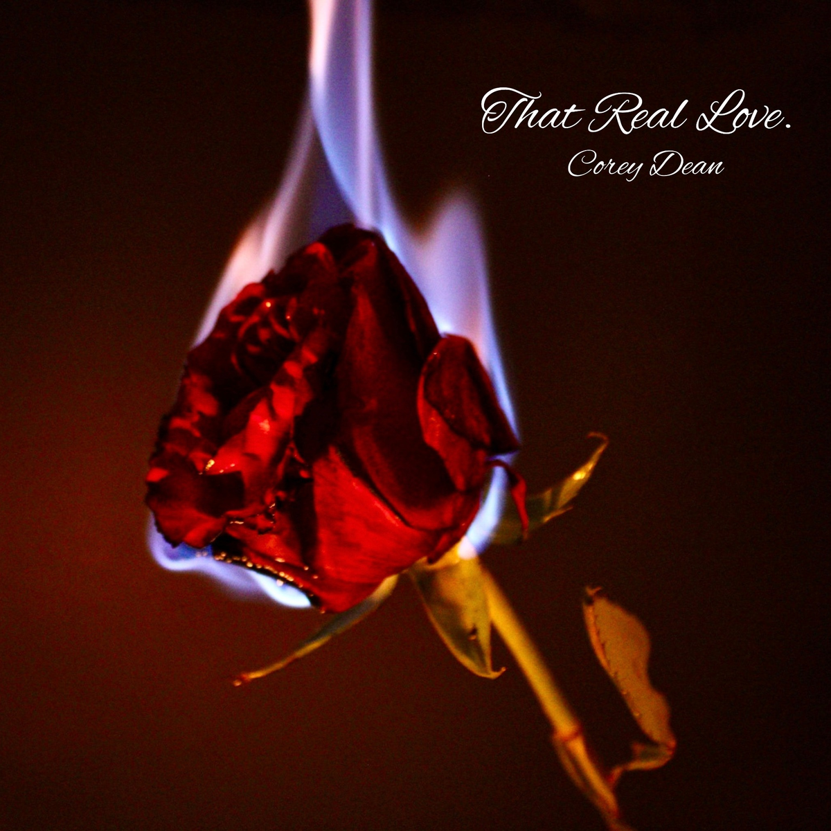 That Real Love. cover